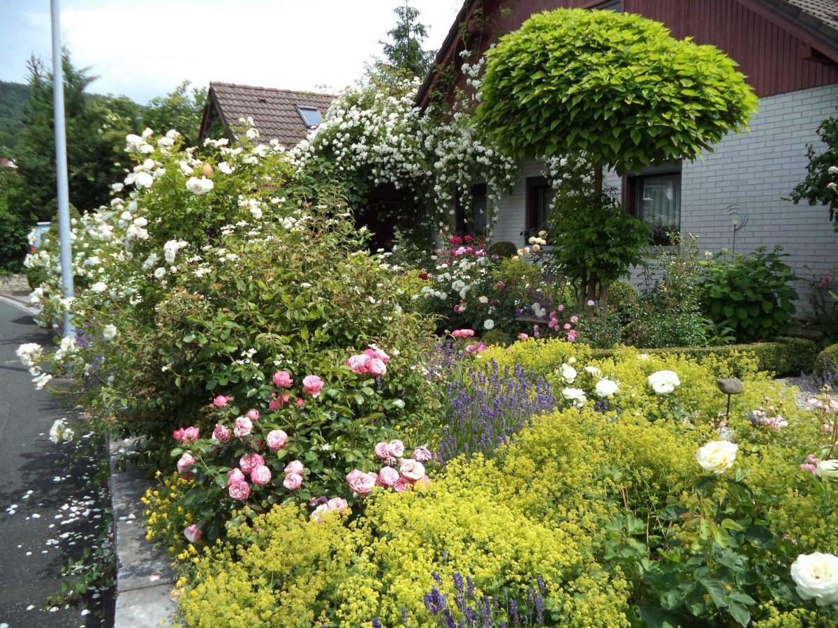 Ferienwohnung Neuner Ebermannstadt Esterno foto